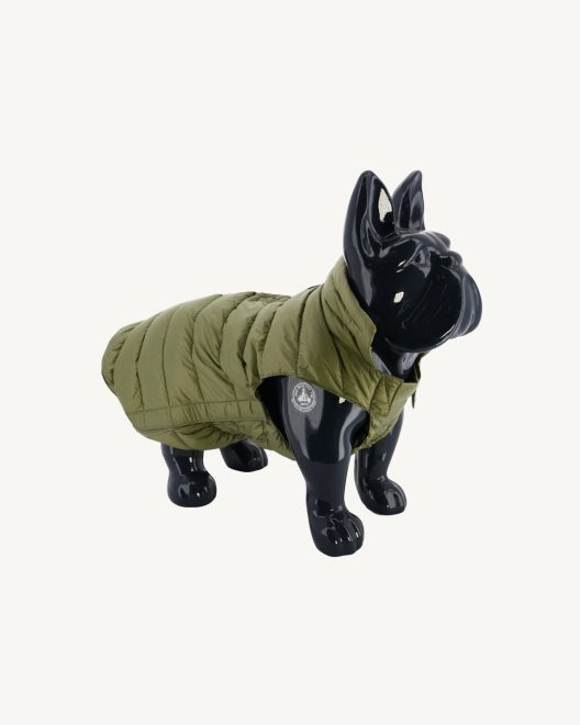 μπουφάν για σκύλους πουπουλένια μπουφάν Woop Jott New In